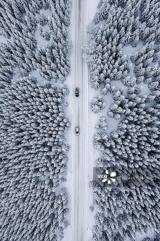 雪天森林，道路居中俯视视角图片素材