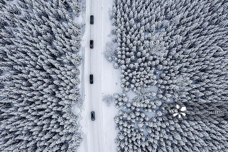 俯视角度下的雪松森林和道路上的汽车图片素材