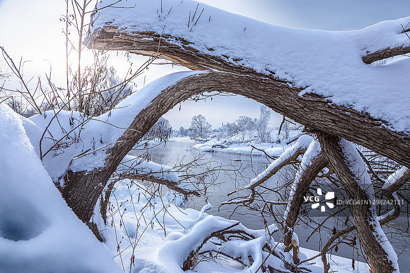 冬季风景：河流与覆雪的树干图片素材
