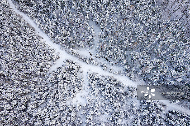 冬季森林鸟瞰：通往冬季仙境的道路图片素材