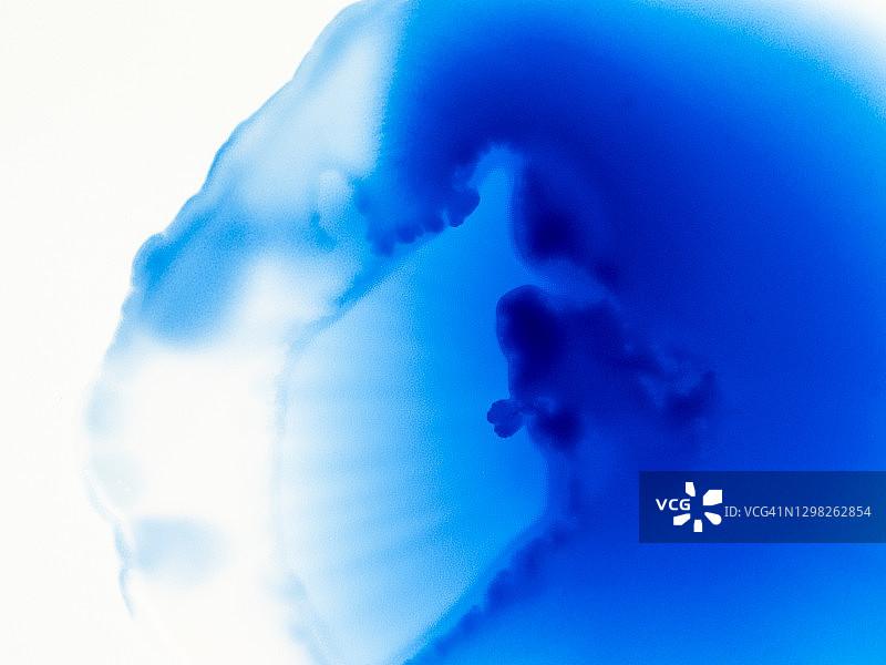 抽象背景，蓝色油漆和墨水在白色画布上图片素材