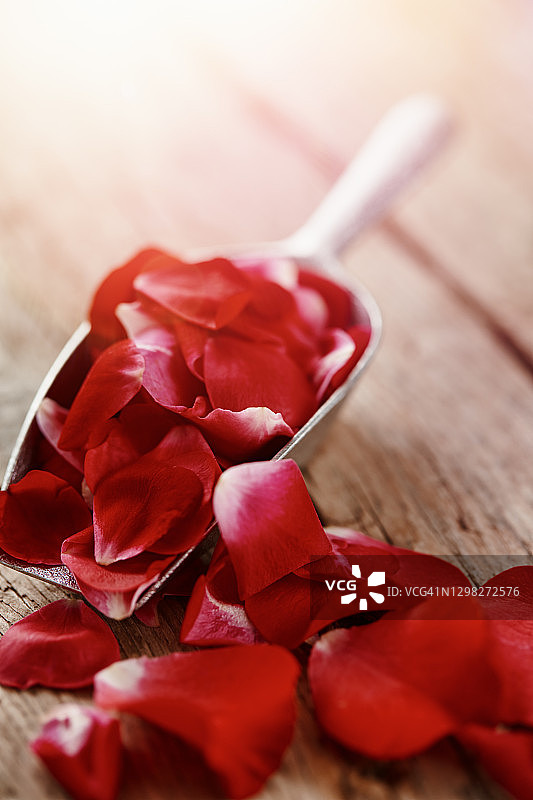 木桌上金属勺中的红玫瑰花瓣图片素材