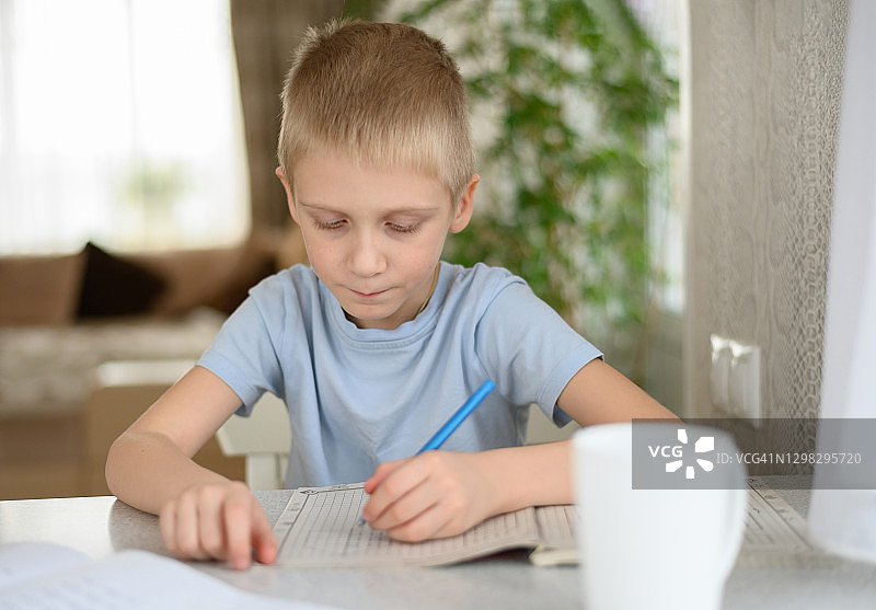 6岁男孩在家专心学习图片素材
