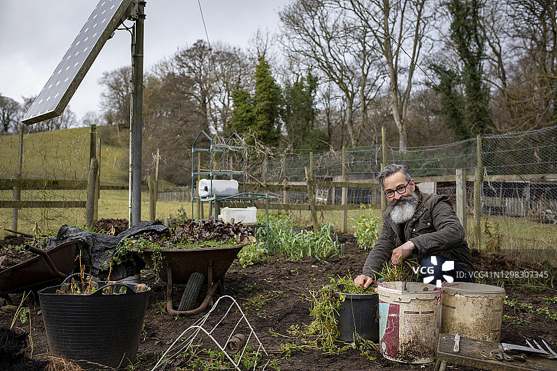 自豪的园丁图片素材