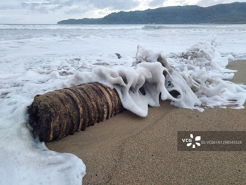 椰子树和海浪图片素材
