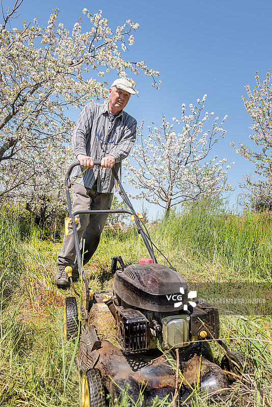 男人在春季果园里用盛开的果树修剪草坪图片素材