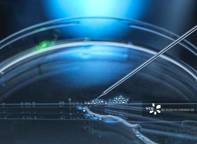 在多个胚胎干细胞上进行的核移植图片素材