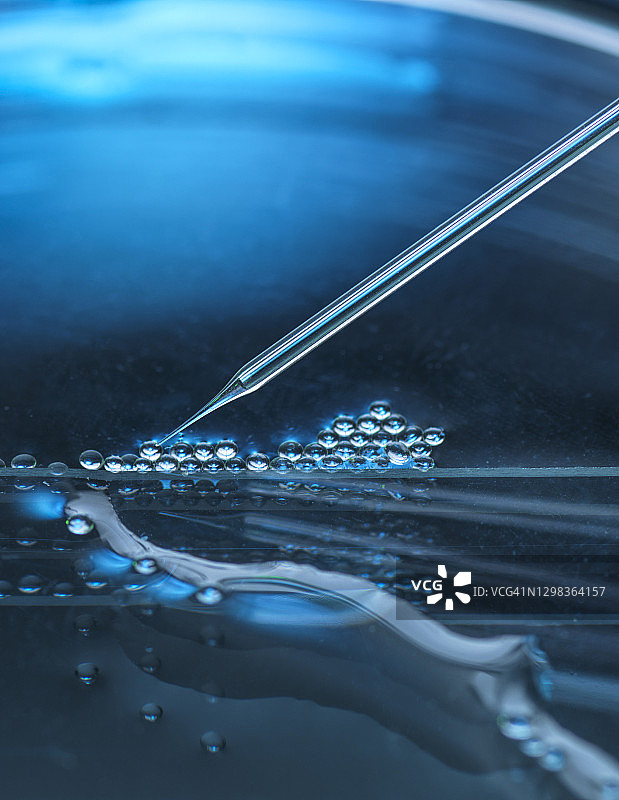 在多个胚胎干细胞上进行的核移植图片素材