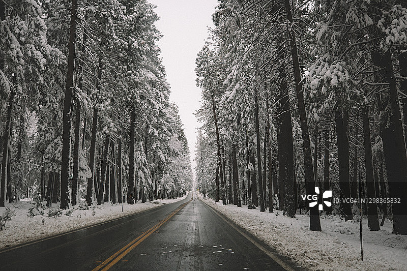 穿过白雪覆盖森林的空旷道路图片素材