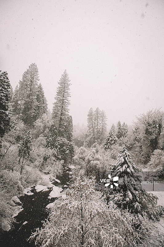 内华达州内华达城鹿溪上的雪花图片素材