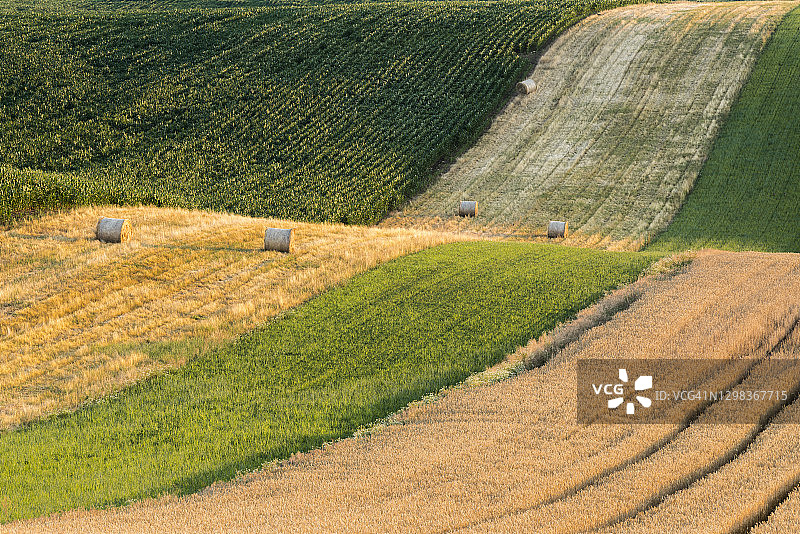 南摩拉维亚地区凯约夫附近田野上的草捆图片素材