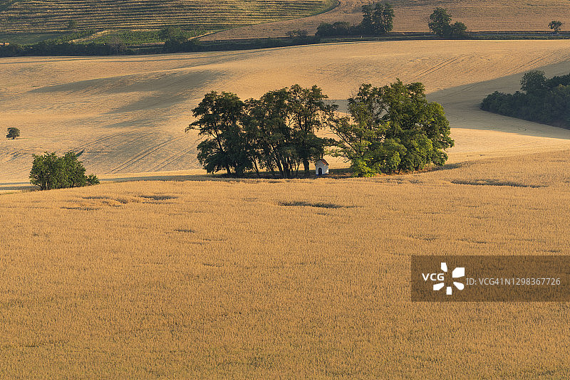 捷克摩拉维亚南摩拉维亚地区霍多宁区圣巴巴拉教堂图片素材