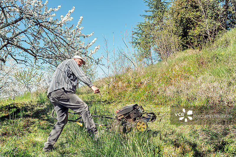 男人在春季果园里用盛开的果树修剪草坪图片素材