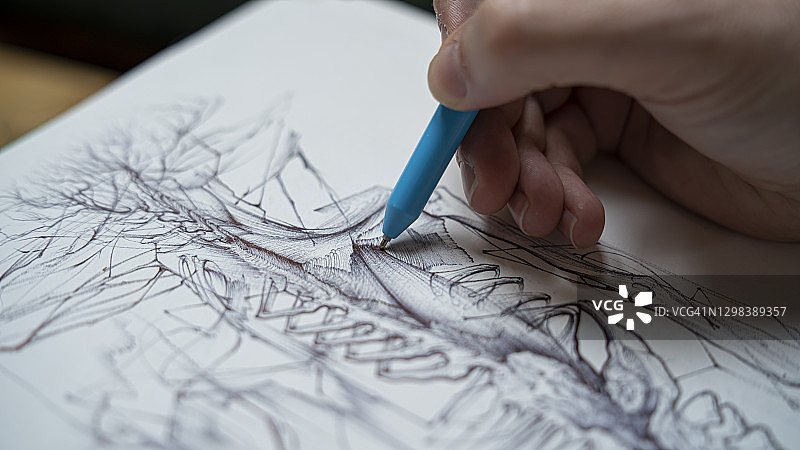 艺术素描特写图片素材