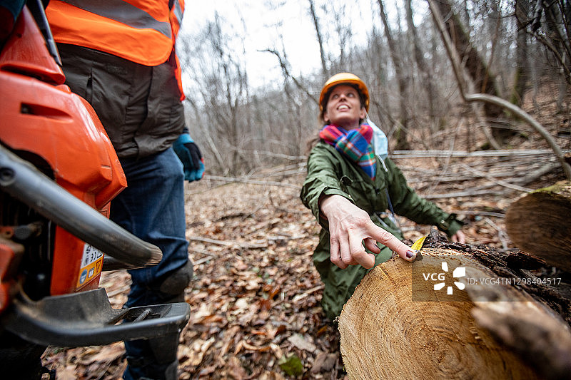森林中一起工作的护林员和伐木工人图片素材
