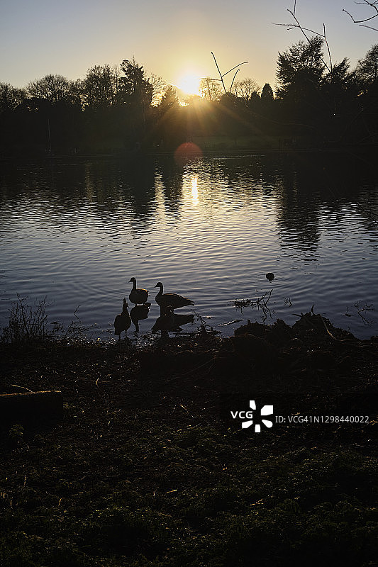 冬季雪景图片素材