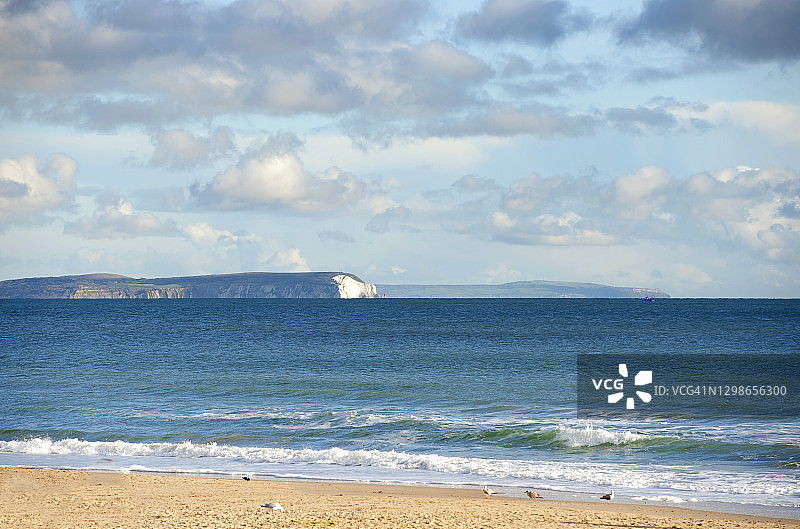 怀特岛悬崖边的北极熊，冬季景象，英格兰珀贝克岛图片素材