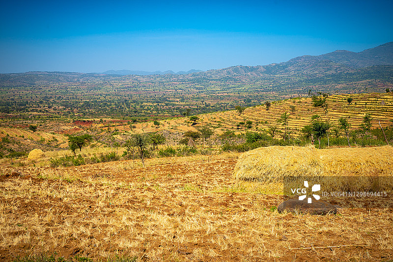 埃塞俄比亚奥莫山谷的森林高地农场图片素材