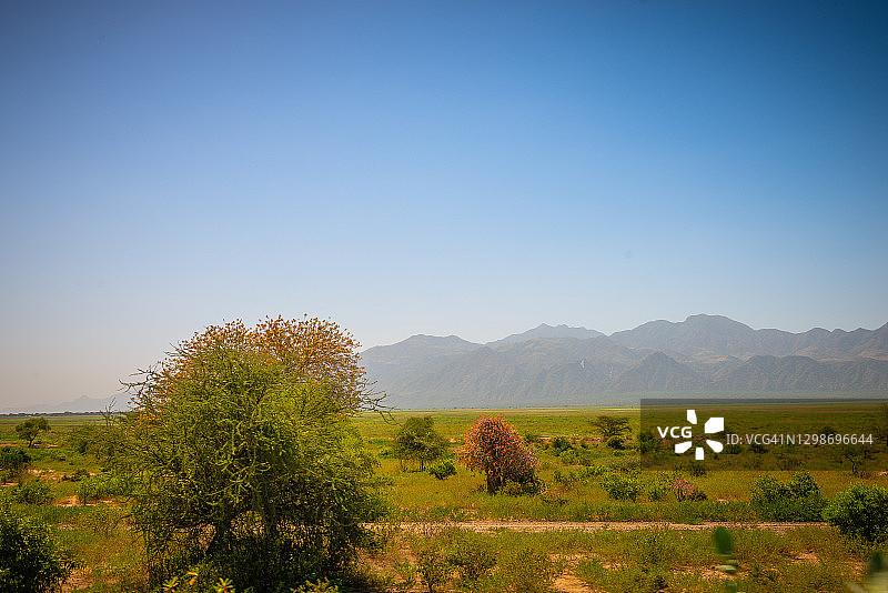 埃塞俄比亚奥莫河谷的森林图片素材