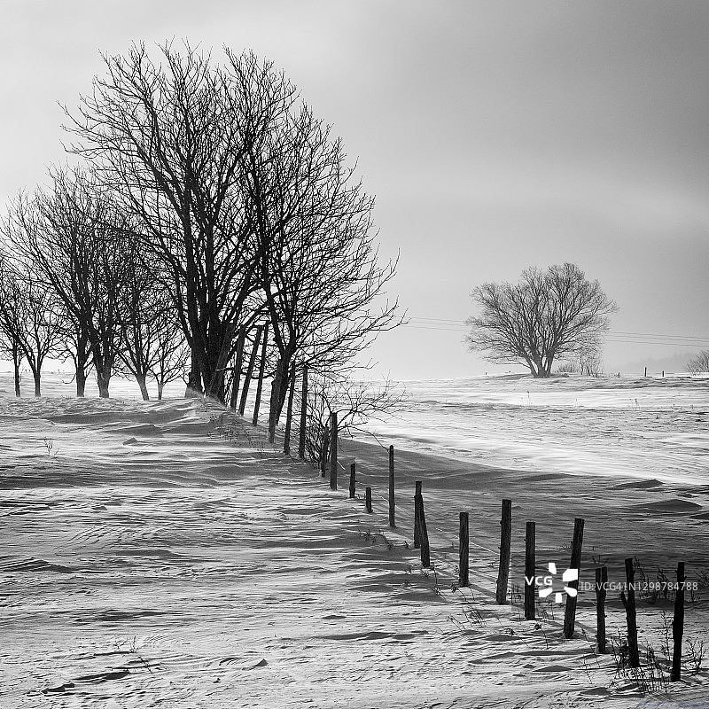 瓦尔-布里扬的树木和栅栏图片素材