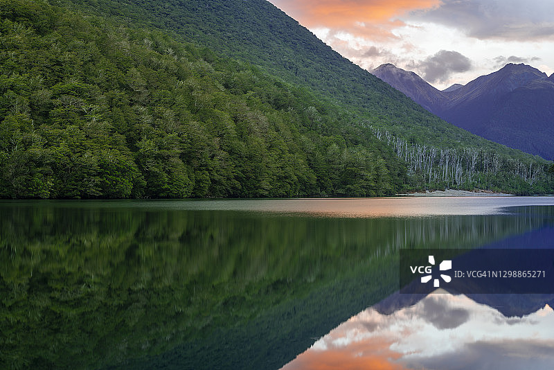 新西兰峡湾国家公园冈恩湖的田园风光图片素材