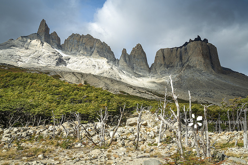 智利百内国家公园法国谷的枯树山景图片素材
