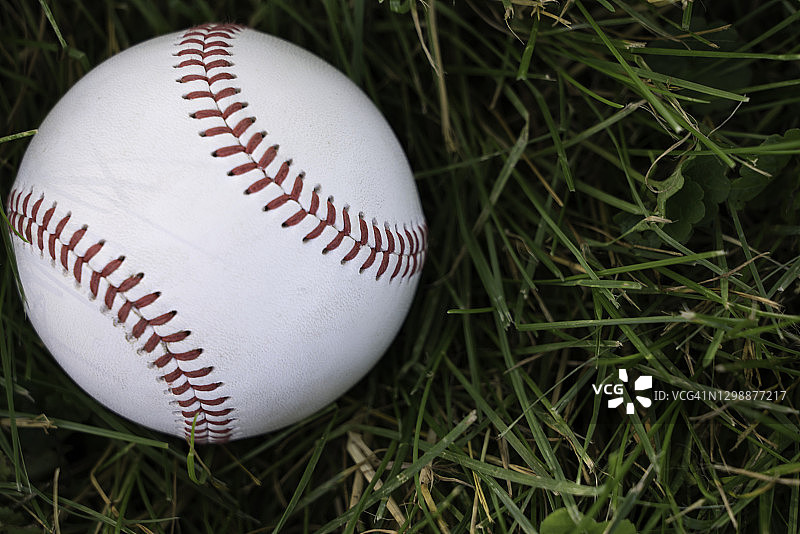 草地上的棒球特写图片素材