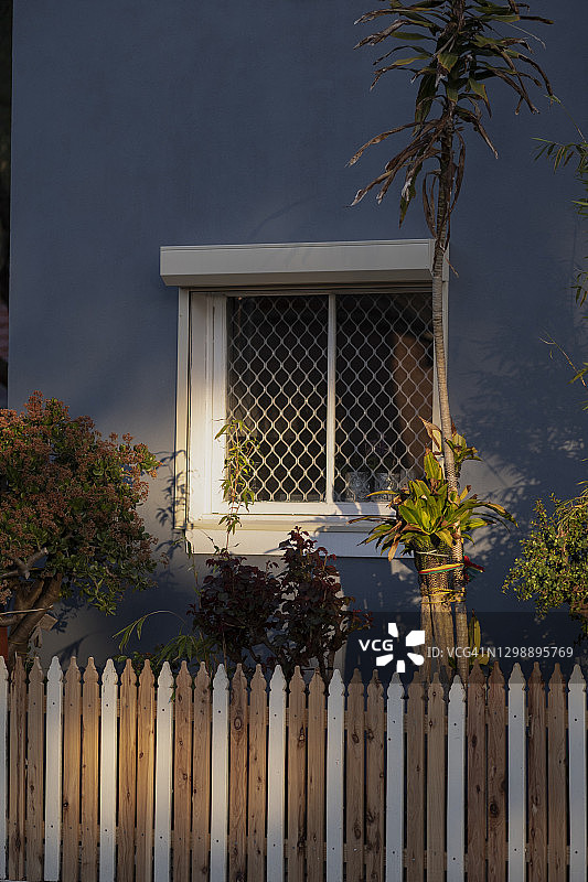 墨尔本社区的房屋外植物，澳大利亚图片素材