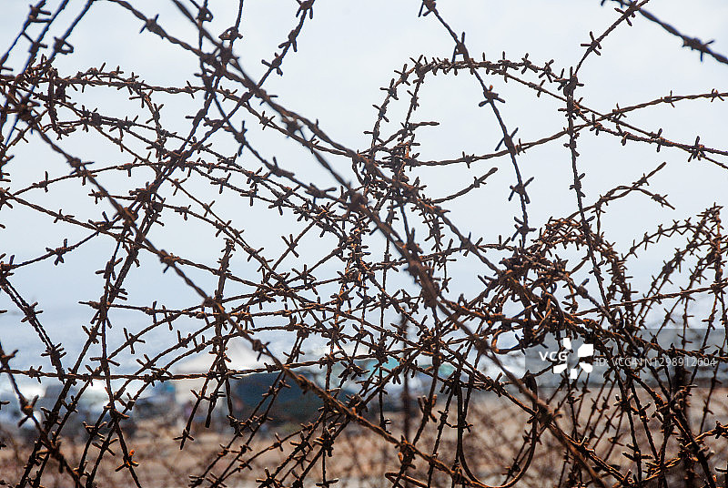 带刺铁丝网特写图片素材
