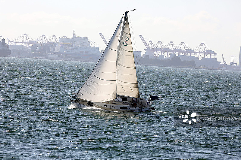 圣佩德罗湾的帆船图片素材