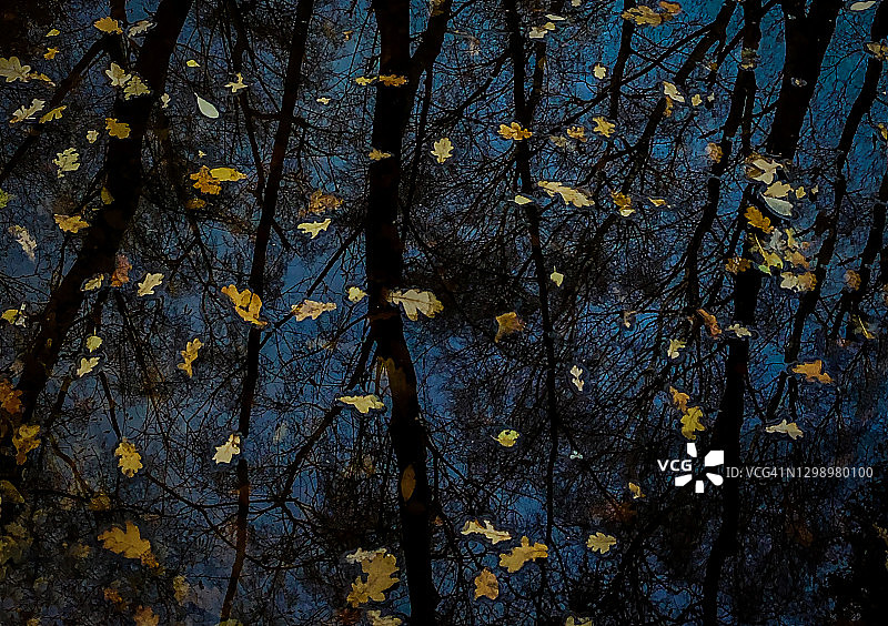 CommBank深色模式壁纸_rs7图片素材