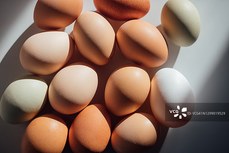 不同类型、颜色和深浅的鸡蛋，在白色表面投下阴影图片素材