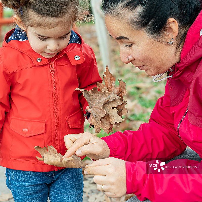 母亲和女儿在户外拿着秋叶的照片图片素材