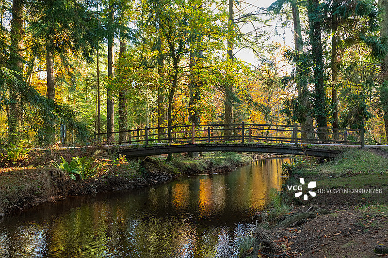 英国汉普郡新森林溪流与桥梁图片素材