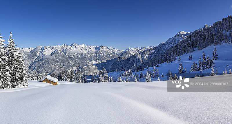 滑雪胜地的雪树和粉雪图片素材
