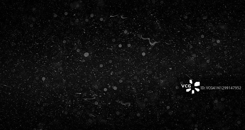 散焦的尘埃颗粒图片素材