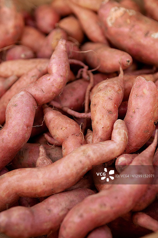 红薯特写图片素材