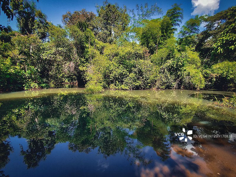 热带雨林河流全景背景图片素材