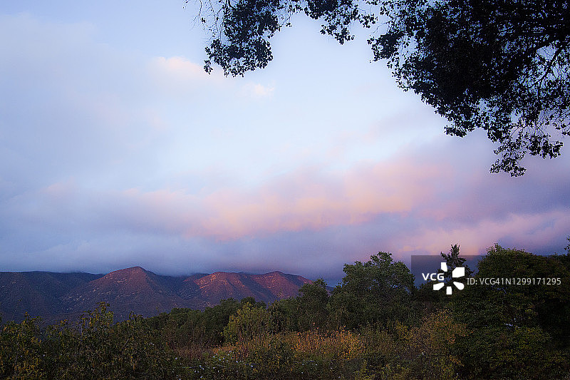 加利福尼亚州奥海托帕托帕山脉日落时的“粉色时刻”，粉蓝色天空和橡树图片素材