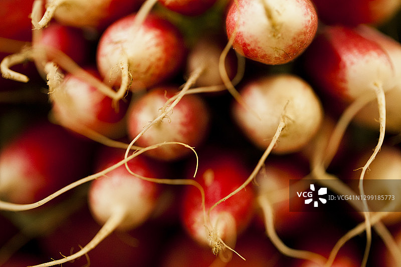 一束红色萝卜的特写，形成醒目的抽象效果图片素材