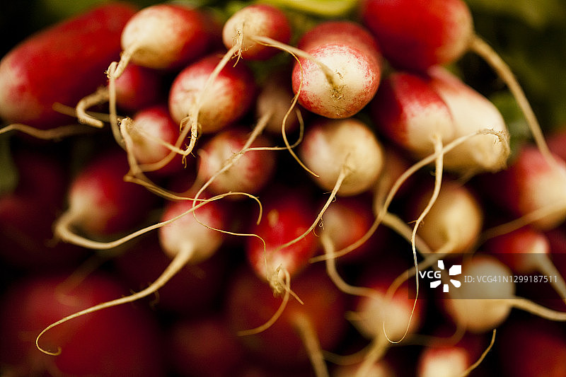 一束红色萝卜的特写，形成醒目的抽象效果图片素材