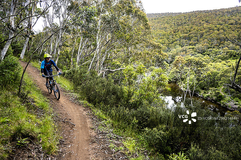 男人在澳大利亚瑟德博谷骑山地自行车图片素材