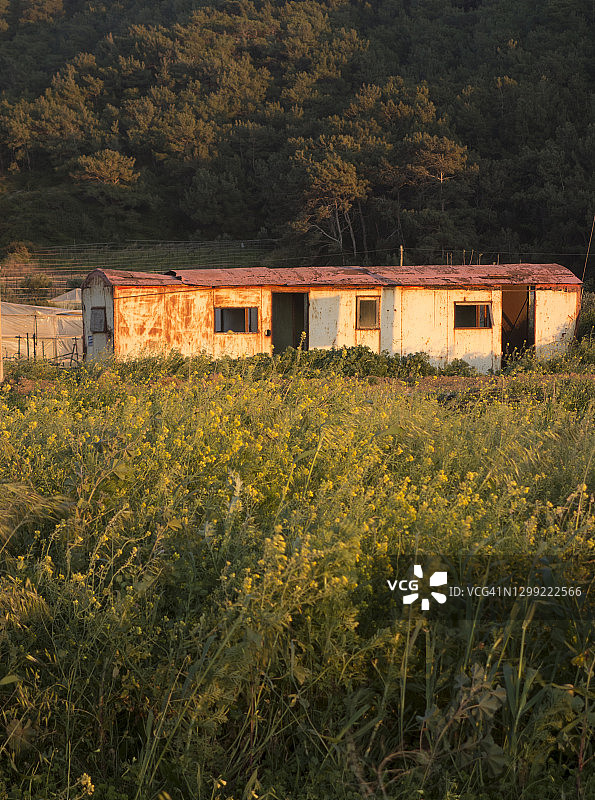希腊的实用建筑或棚屋图片素材
