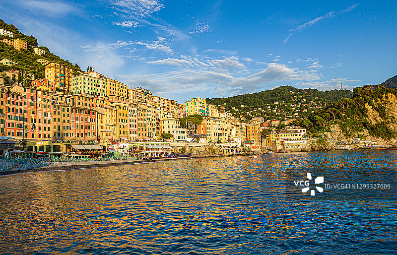 卡莫利图片素材