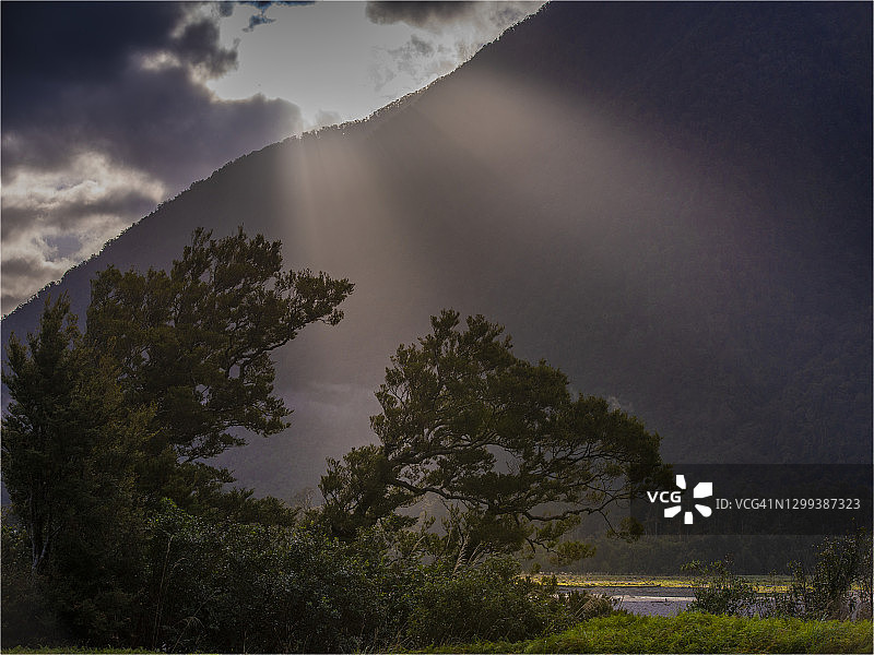 新西兰南岛哈斯特山口的朦胧早晨观景点图片素材