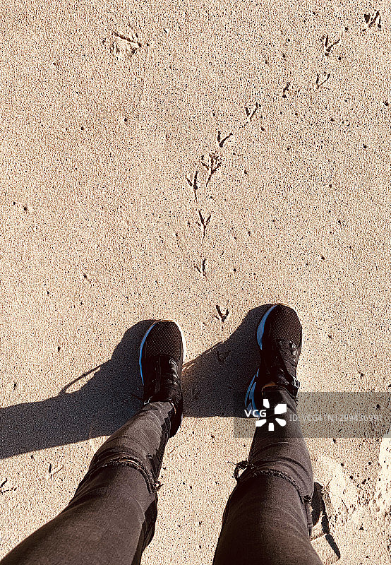 女孩在海边散步图片素材