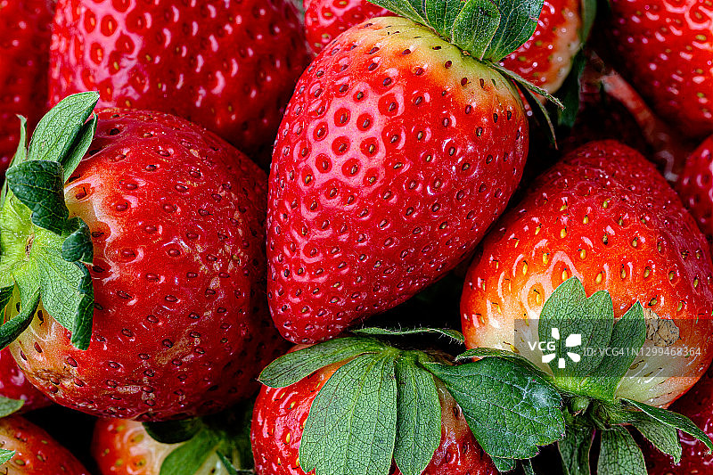新鲜的草莓图片素材