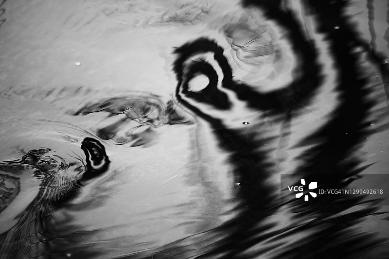 小溪流水中树木的光影营造出独特的抽象图案，单色效果图片素材