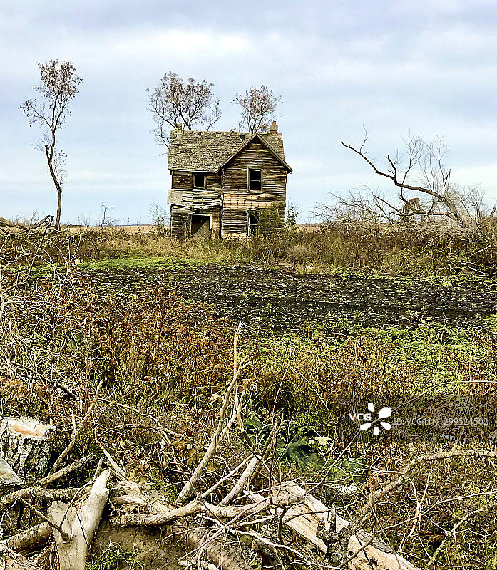 选择性伐木：马尼托巴西部农田清理图片素材