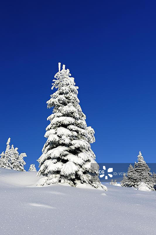 哈尔茨国家公园深雪覆盖的冬季景观，德国萨克森-安哈尔特州图片素材